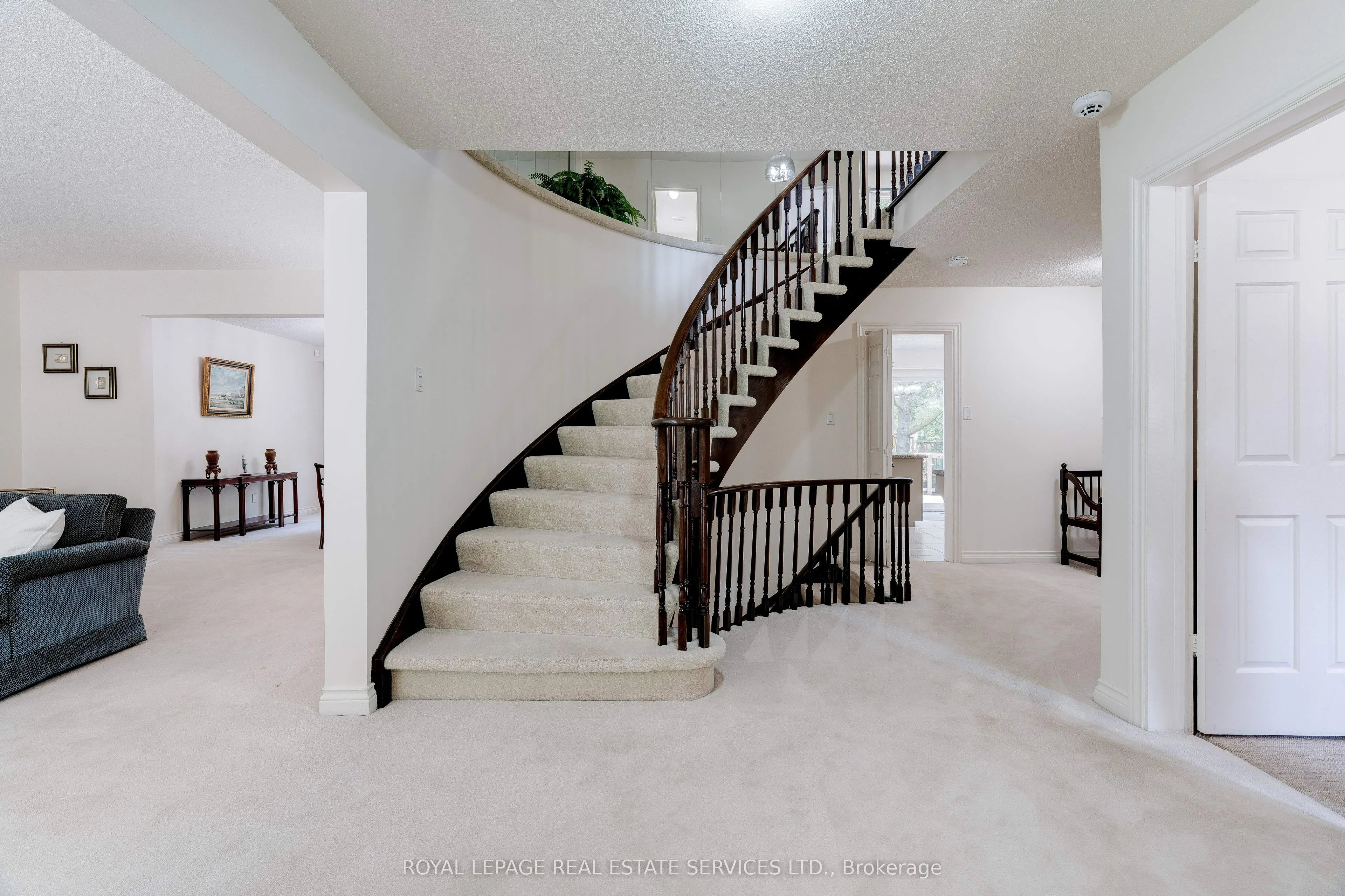 65 Cameo Street