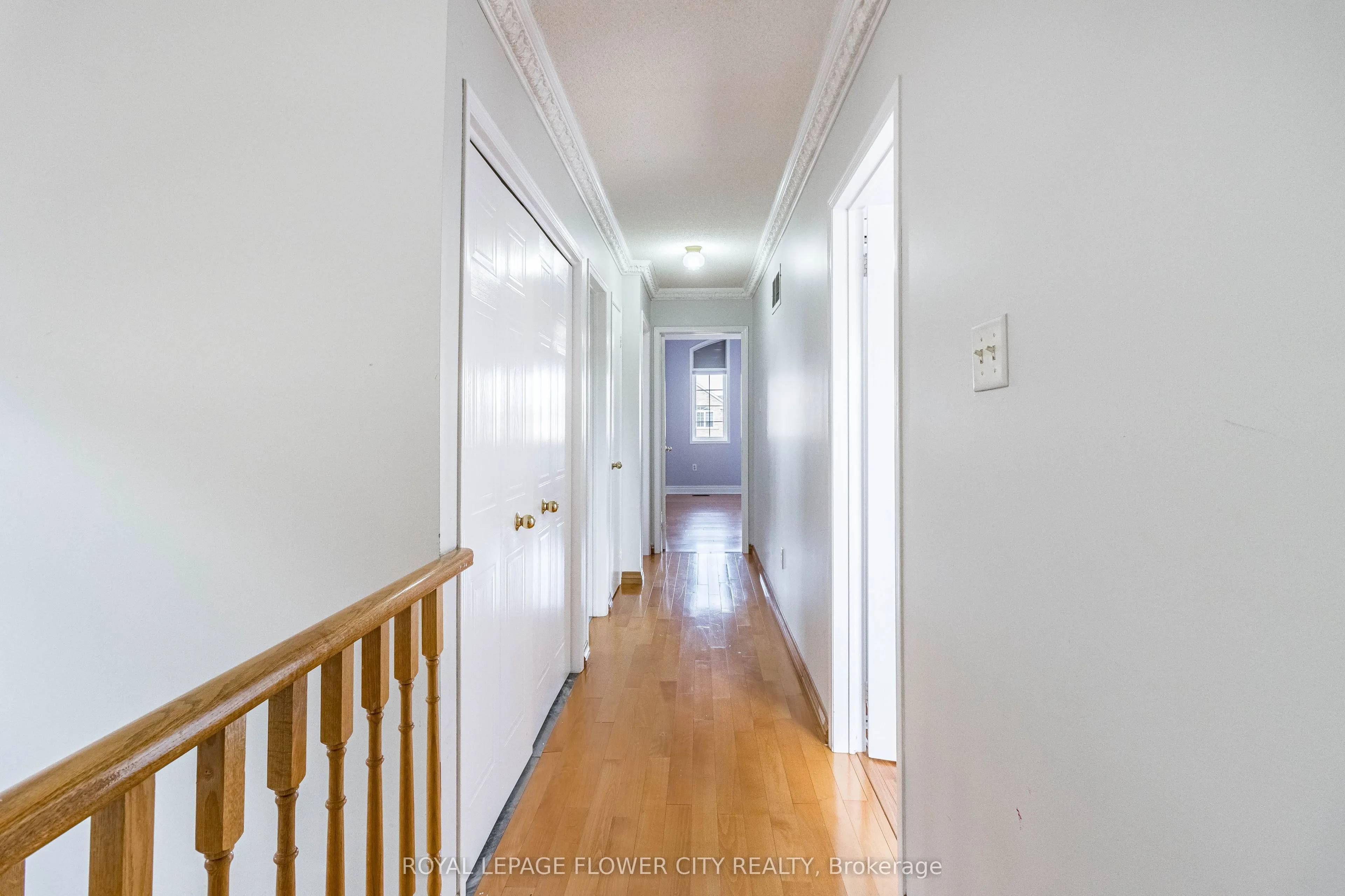 51 Blue Whale Boulevard