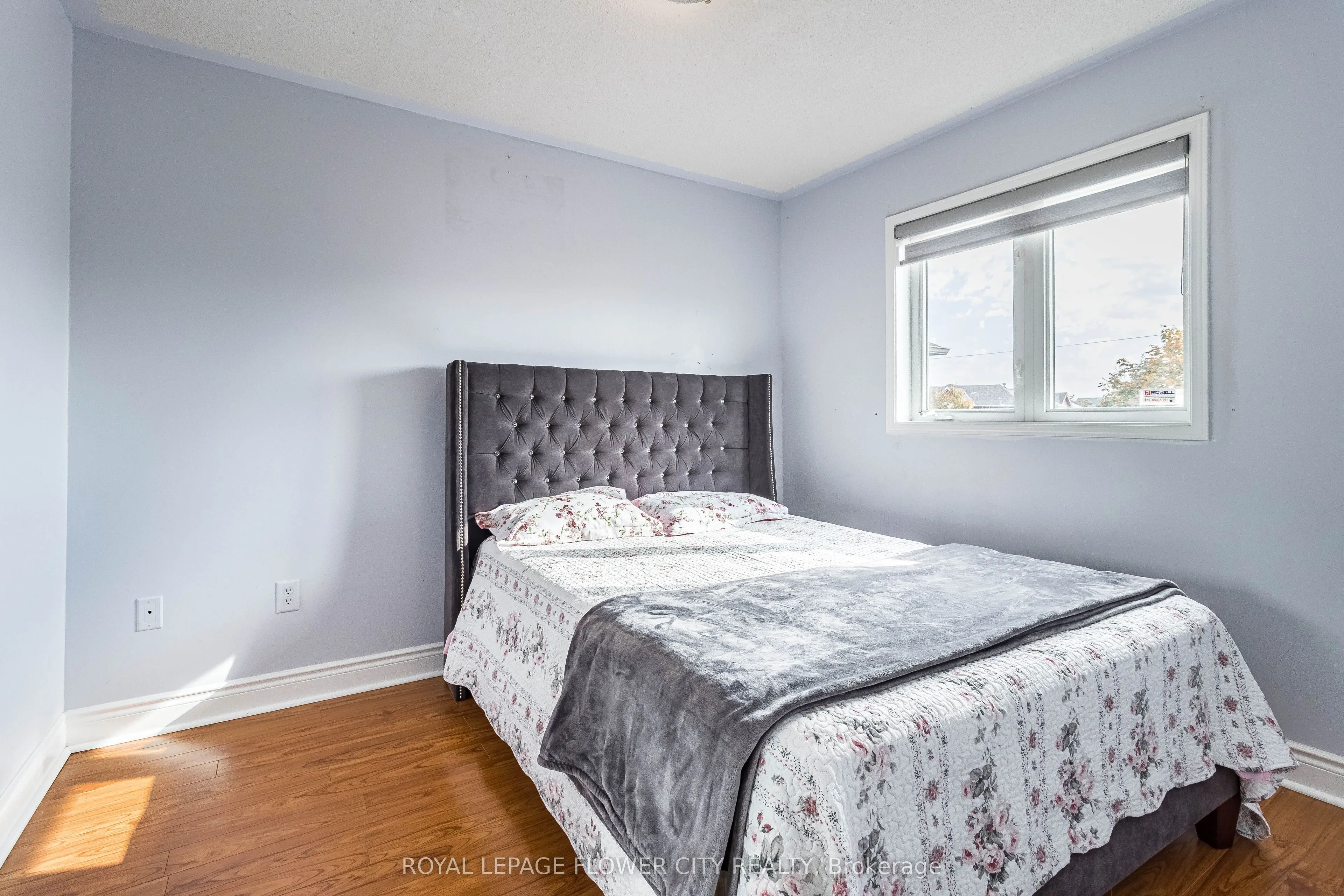 51 Blue Whale Boulevard