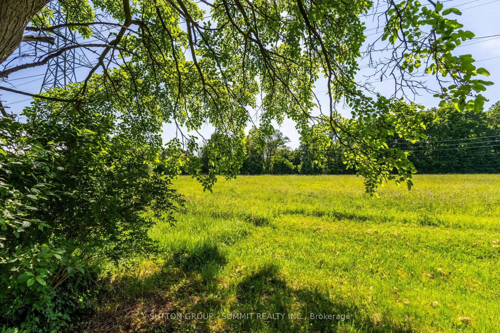 2411 Mount Forest Drive