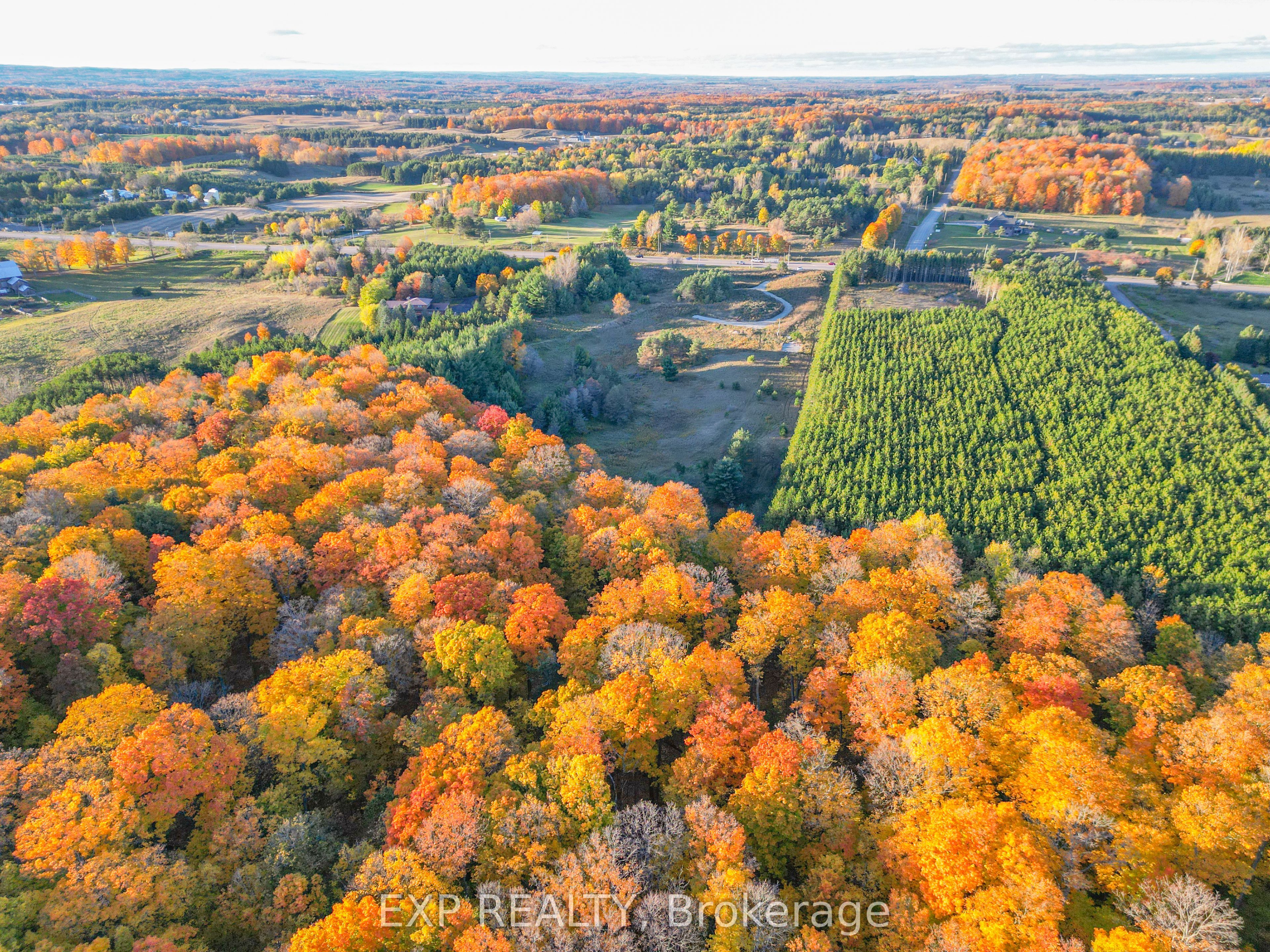 Lot 29 Con. 8, Highway 9
