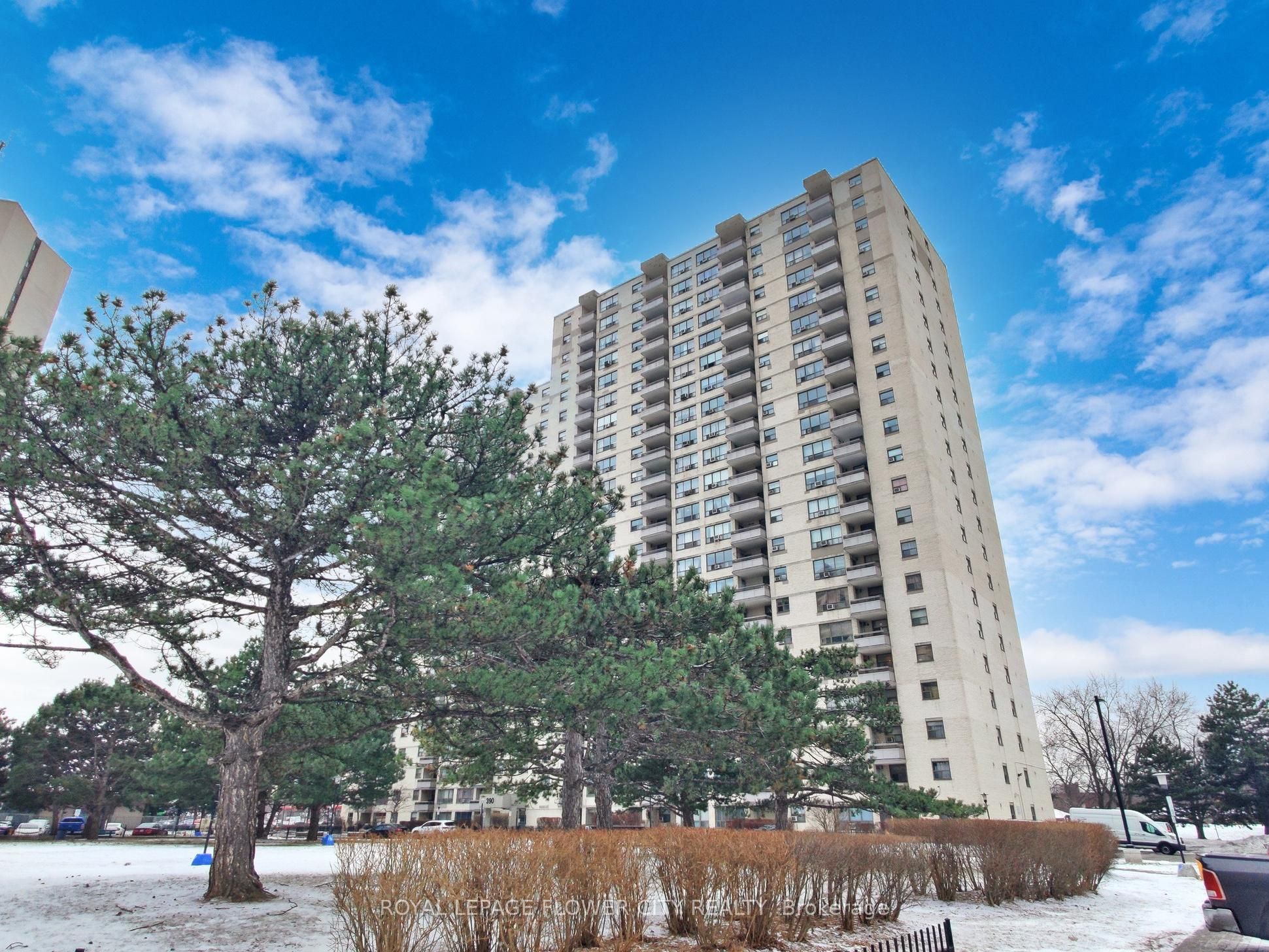 390 Dixon Road #1603
