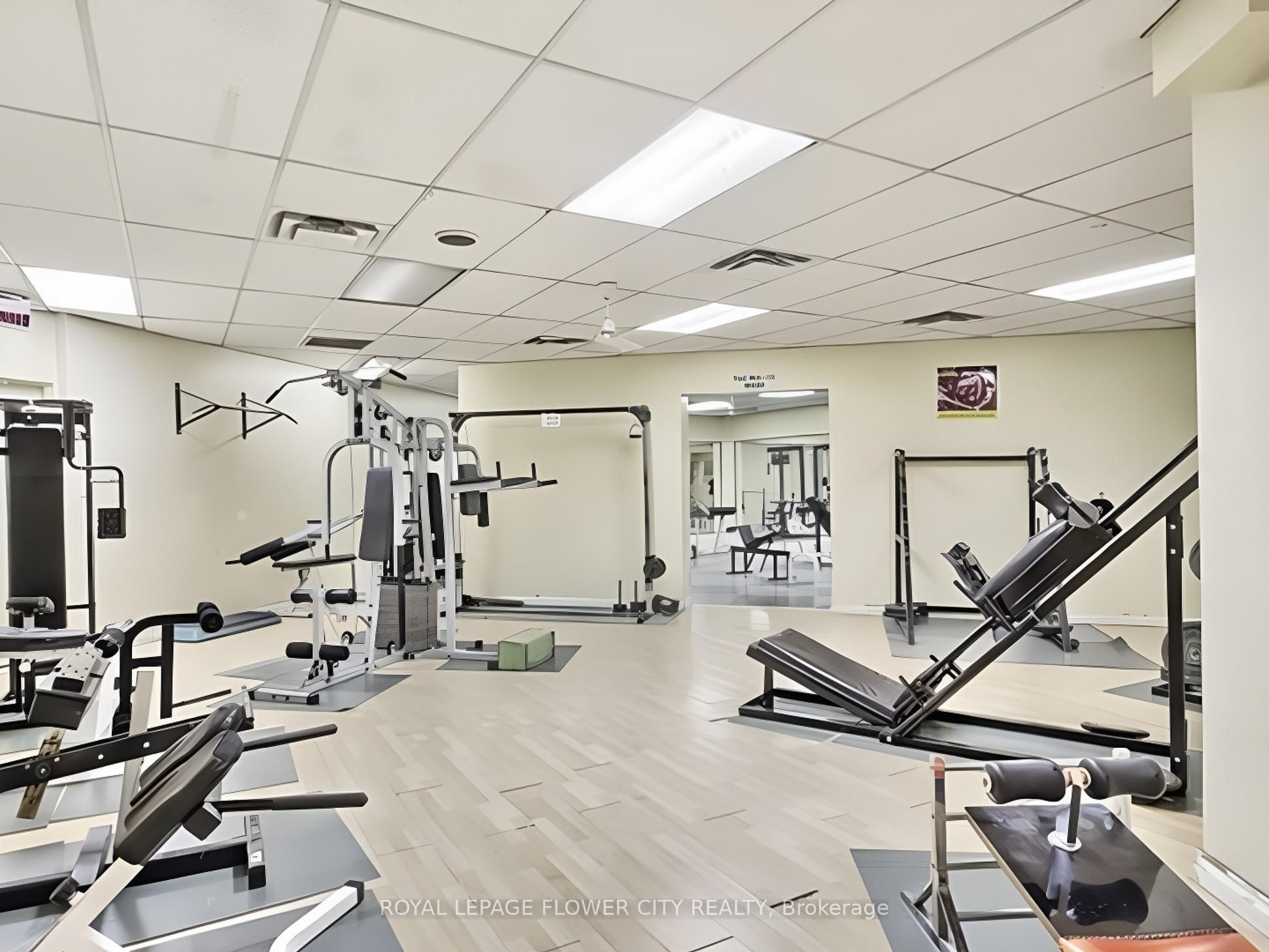 390 Dixon Road #1603