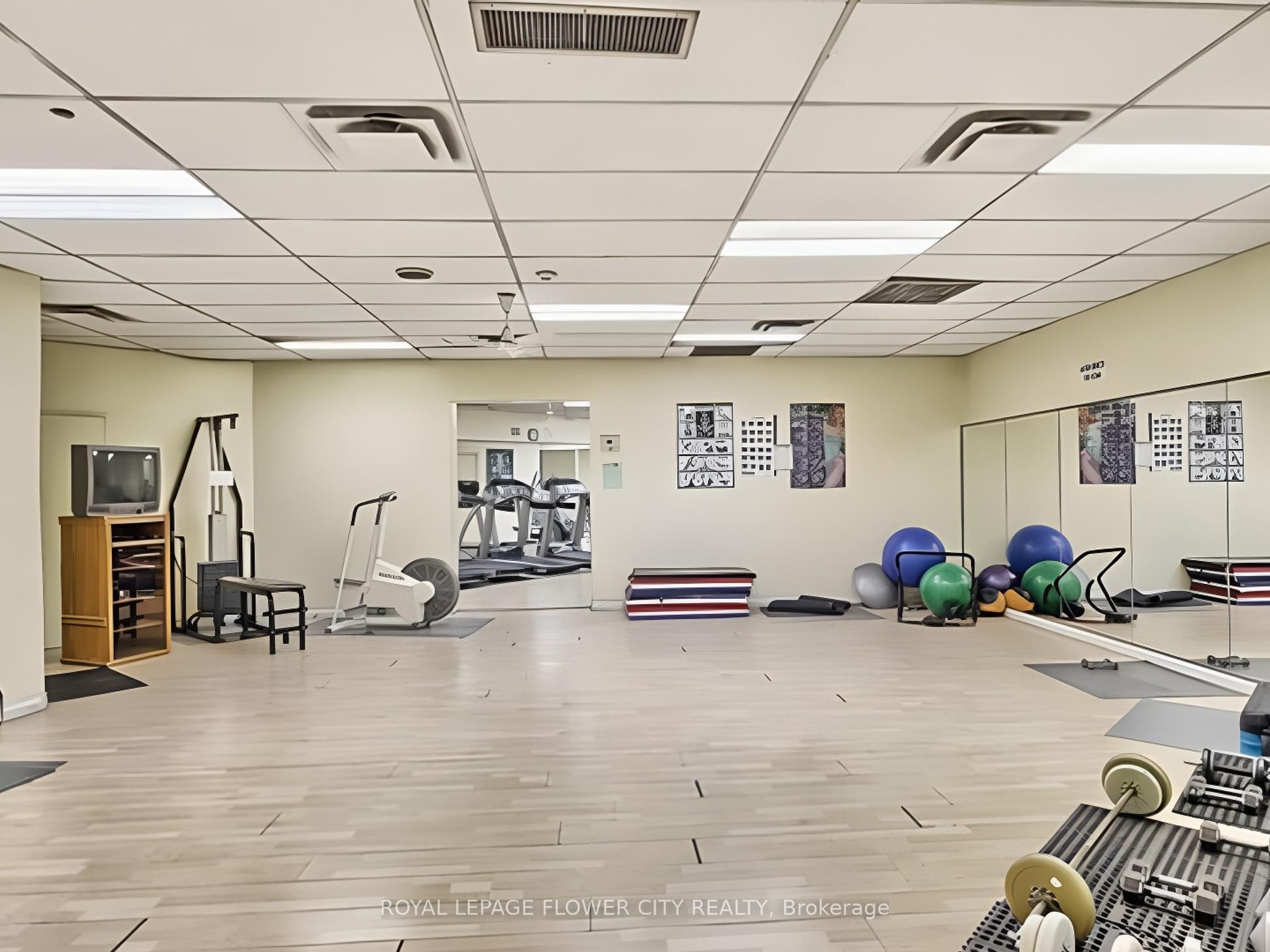 390 Dixon Road #1603