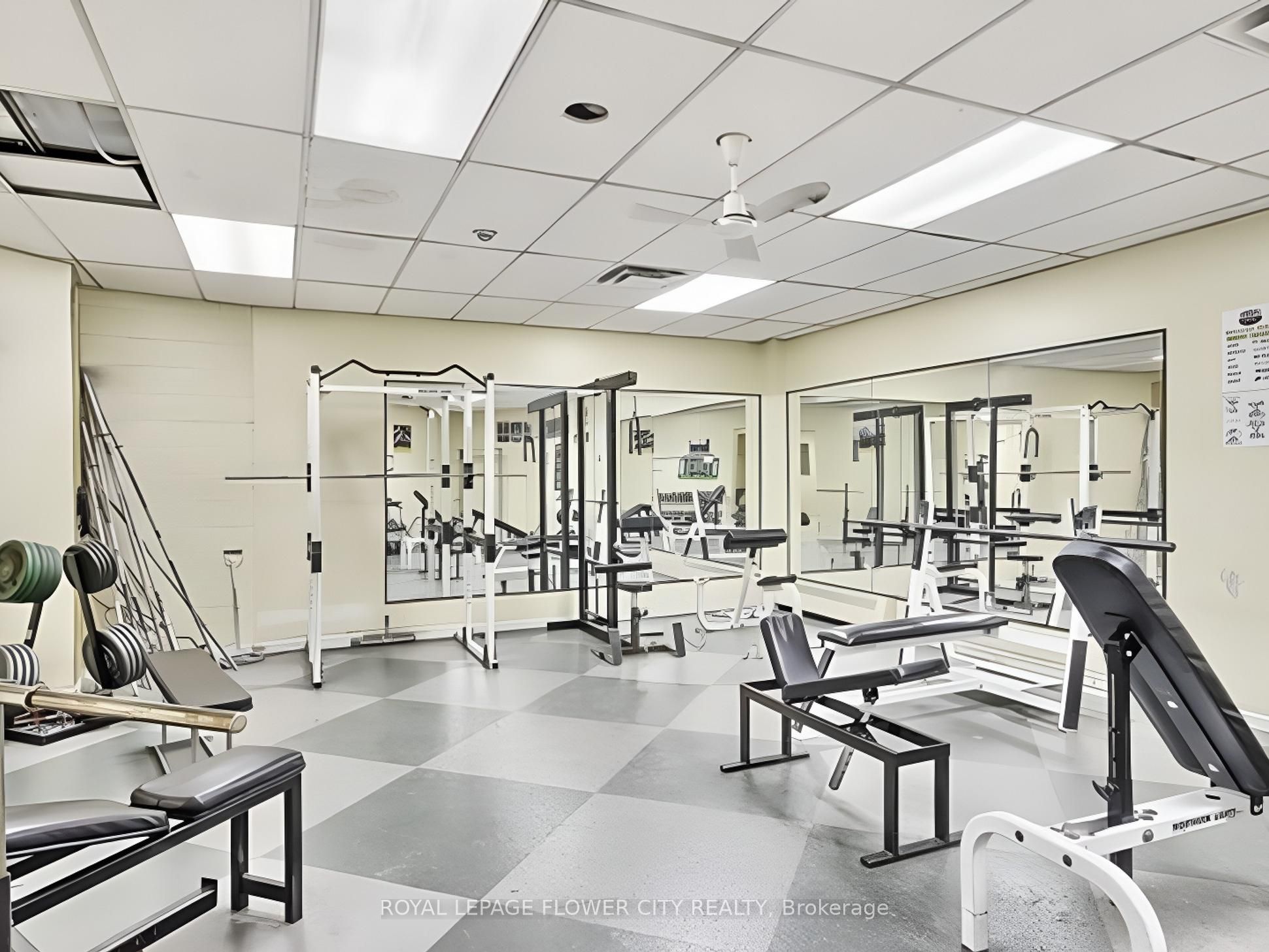 390 Dixon Road #1603