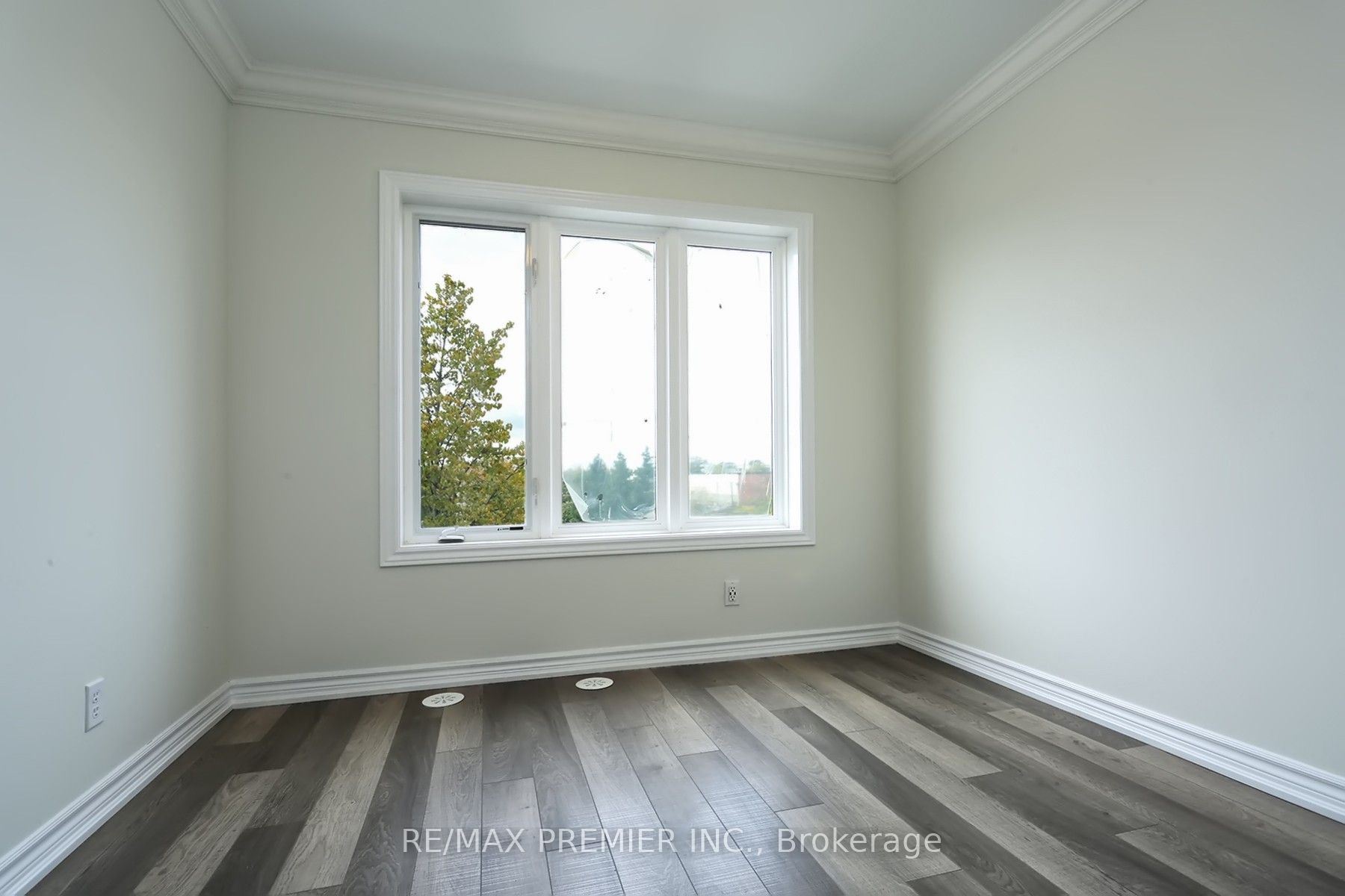 50 Carnation Avenue #147