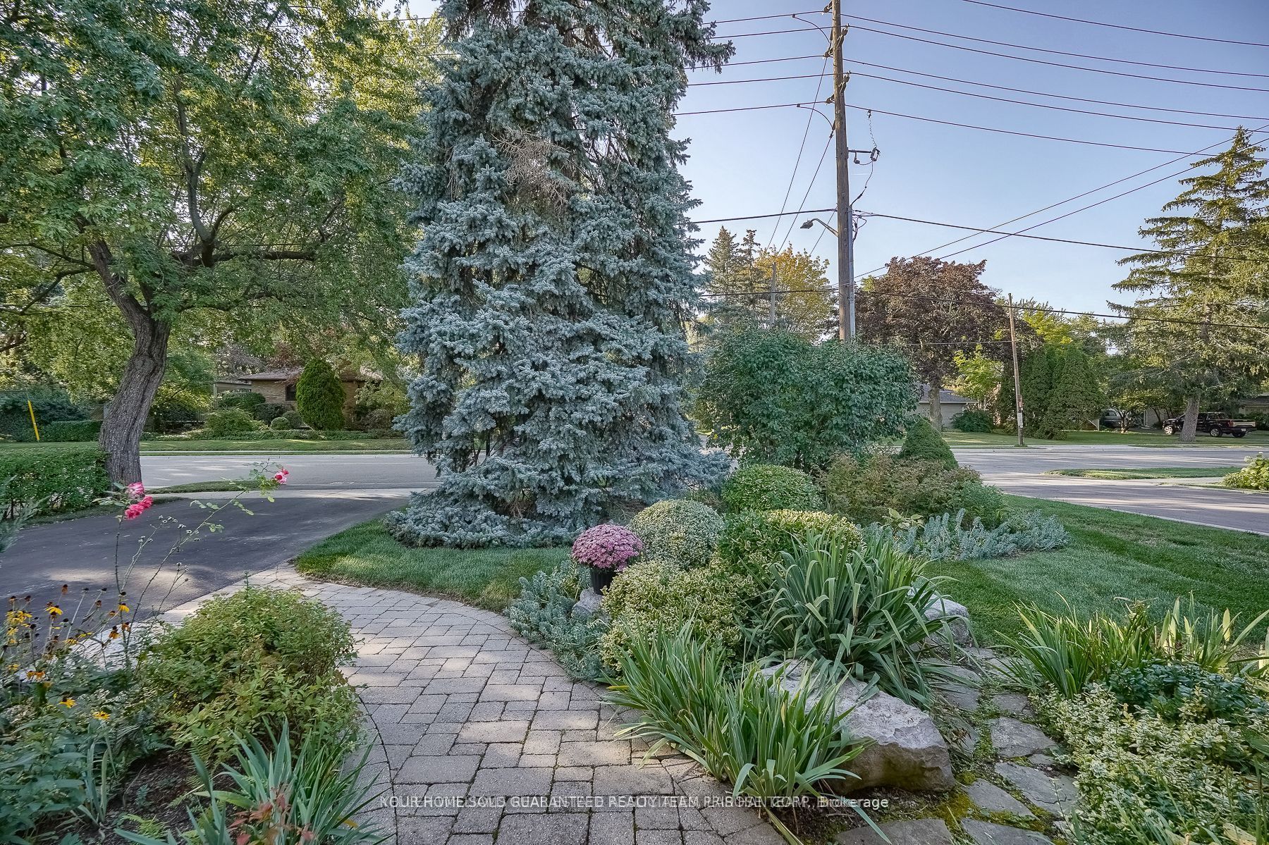 268 Mineola Road E