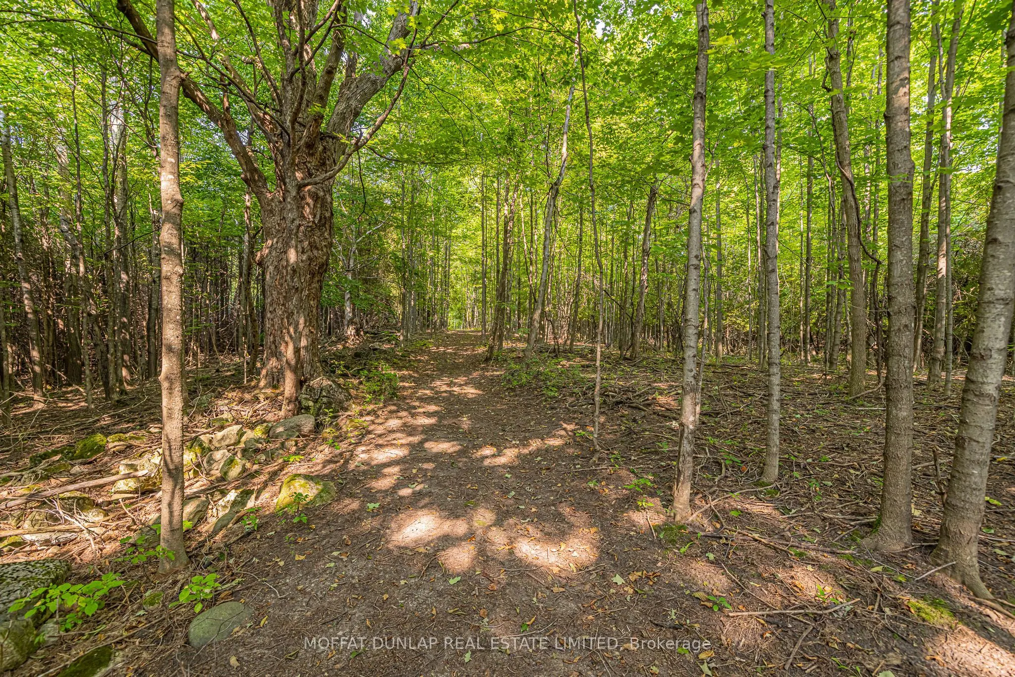 16089 Shaws Creek Road