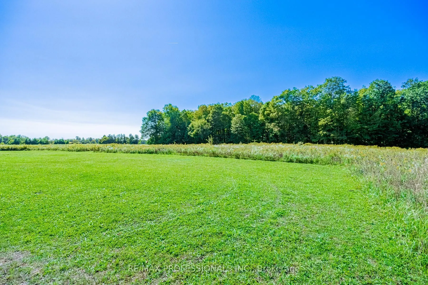 13908 Trafalgar Road