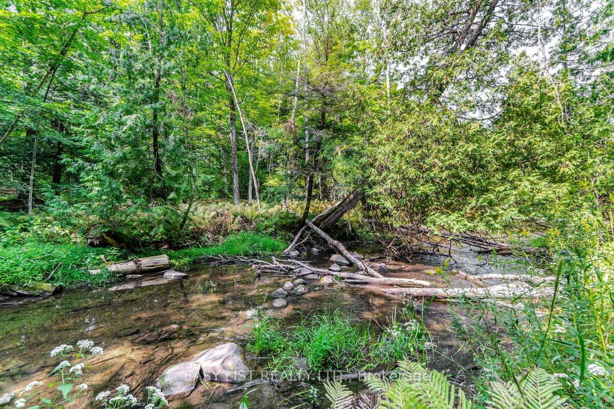 16258 Humber Station Road