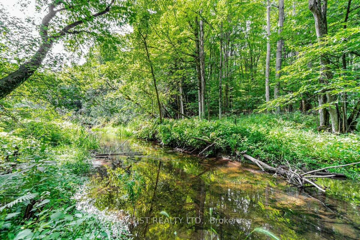 16258 Humber Station Road