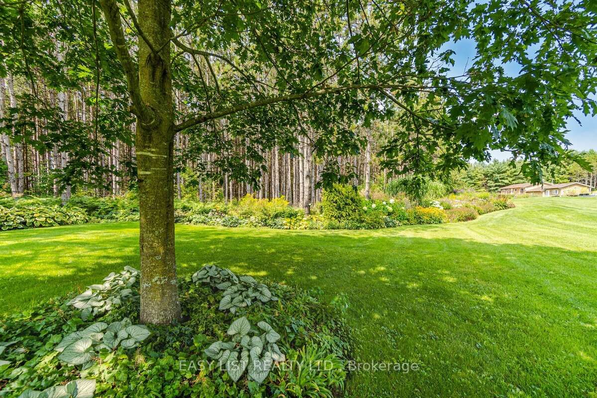 16258 Humber Station Road