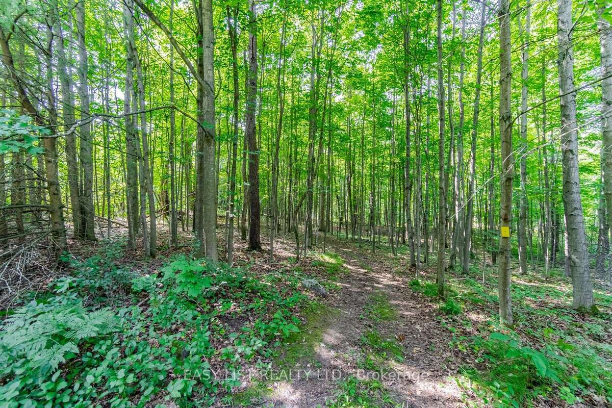 16258 Humber Station Road