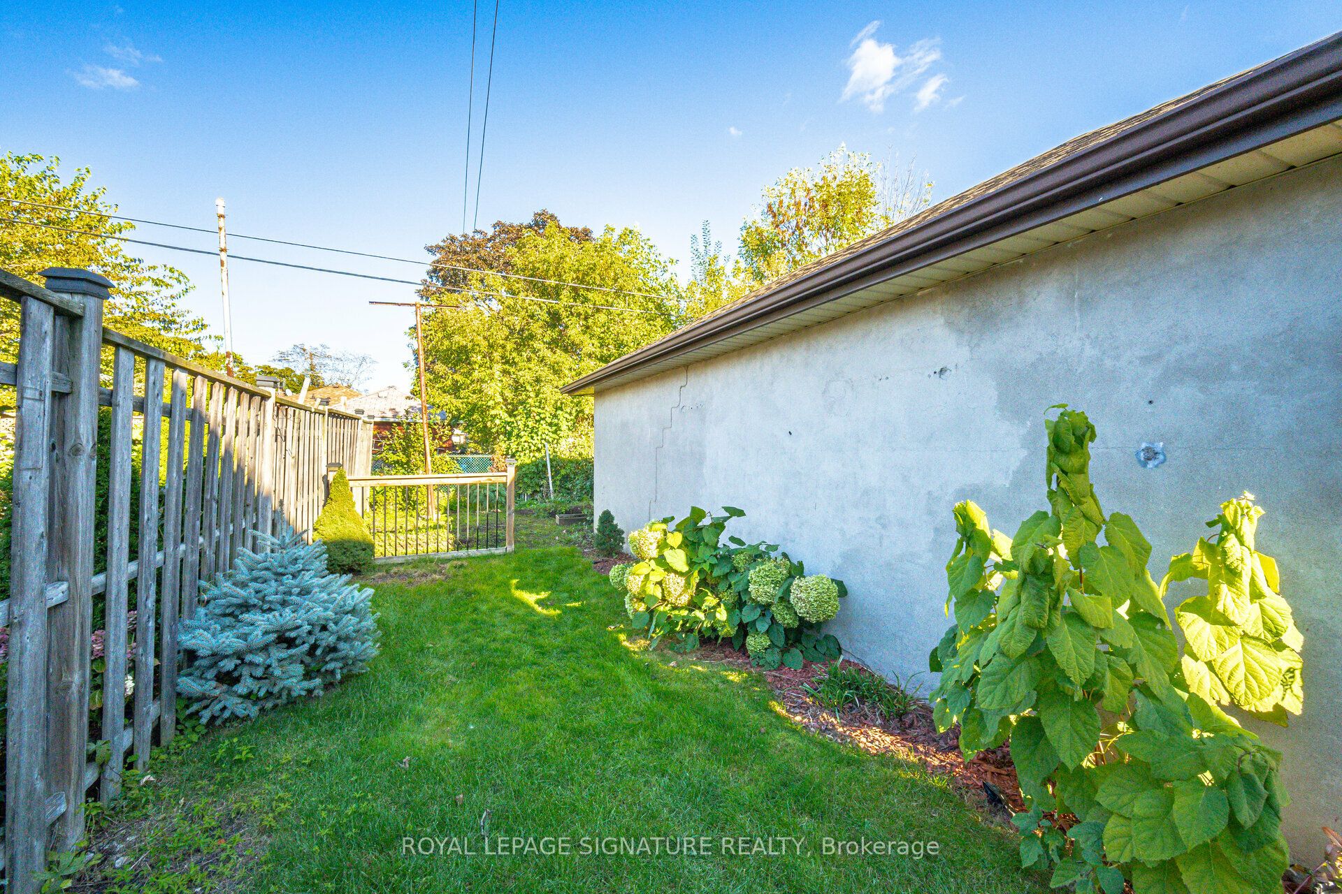 123 Treeview Drive