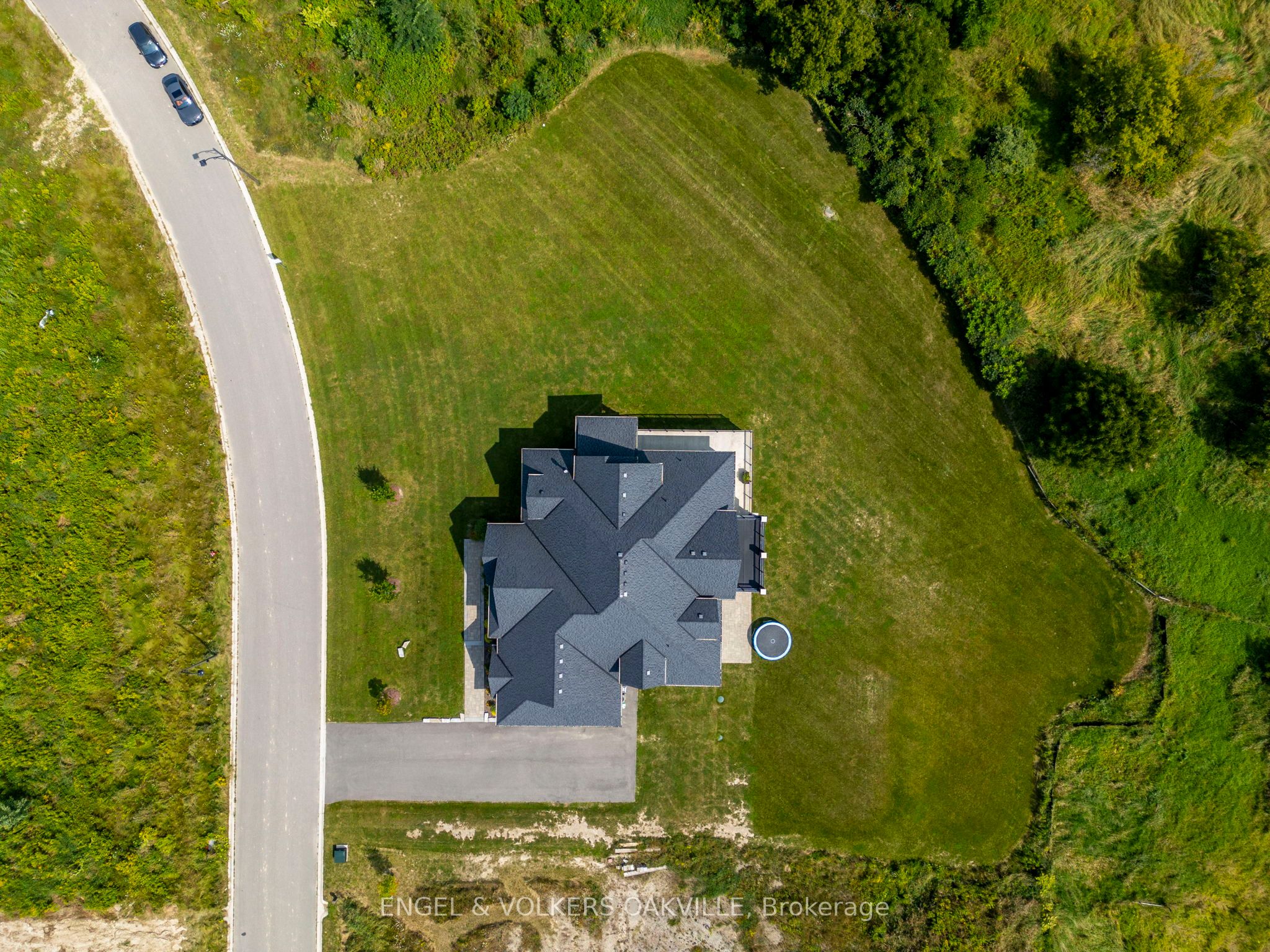 31 Ferrara Drive