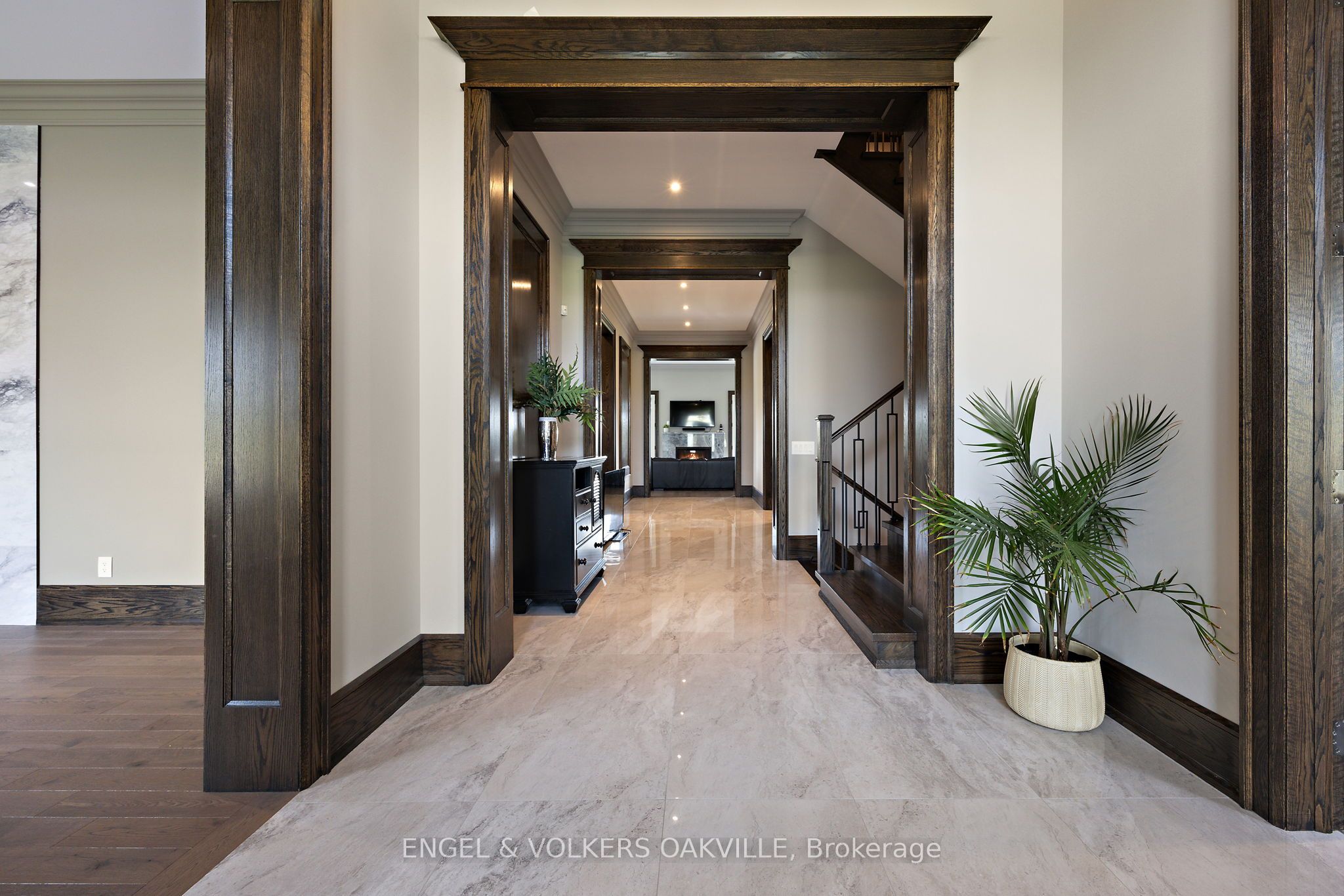 31 Ferrara Drive