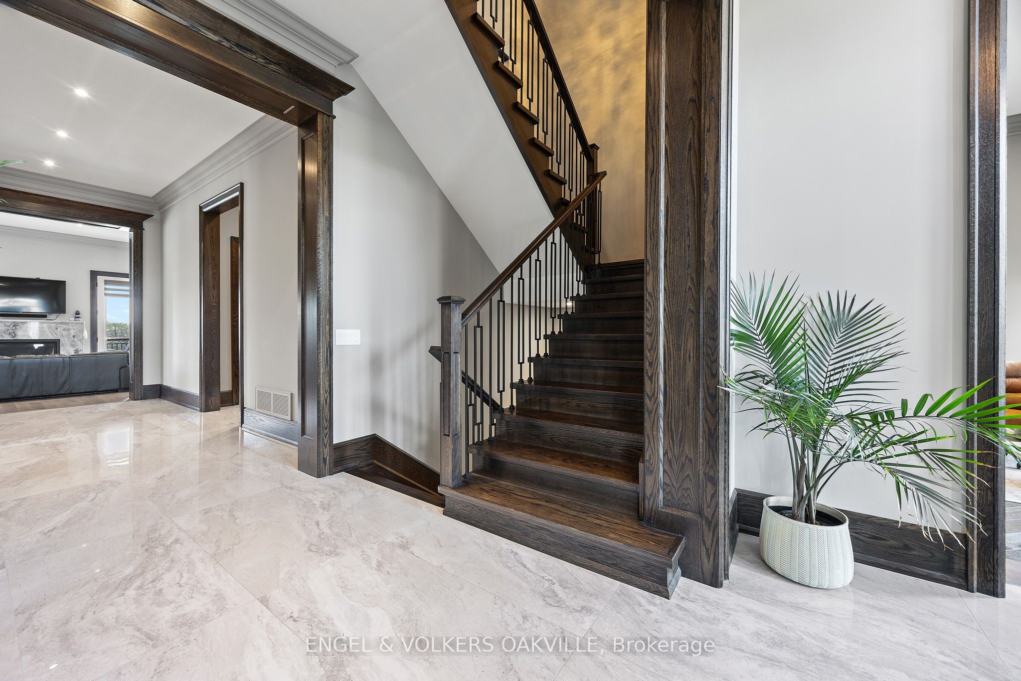 31 Ferrara Drive