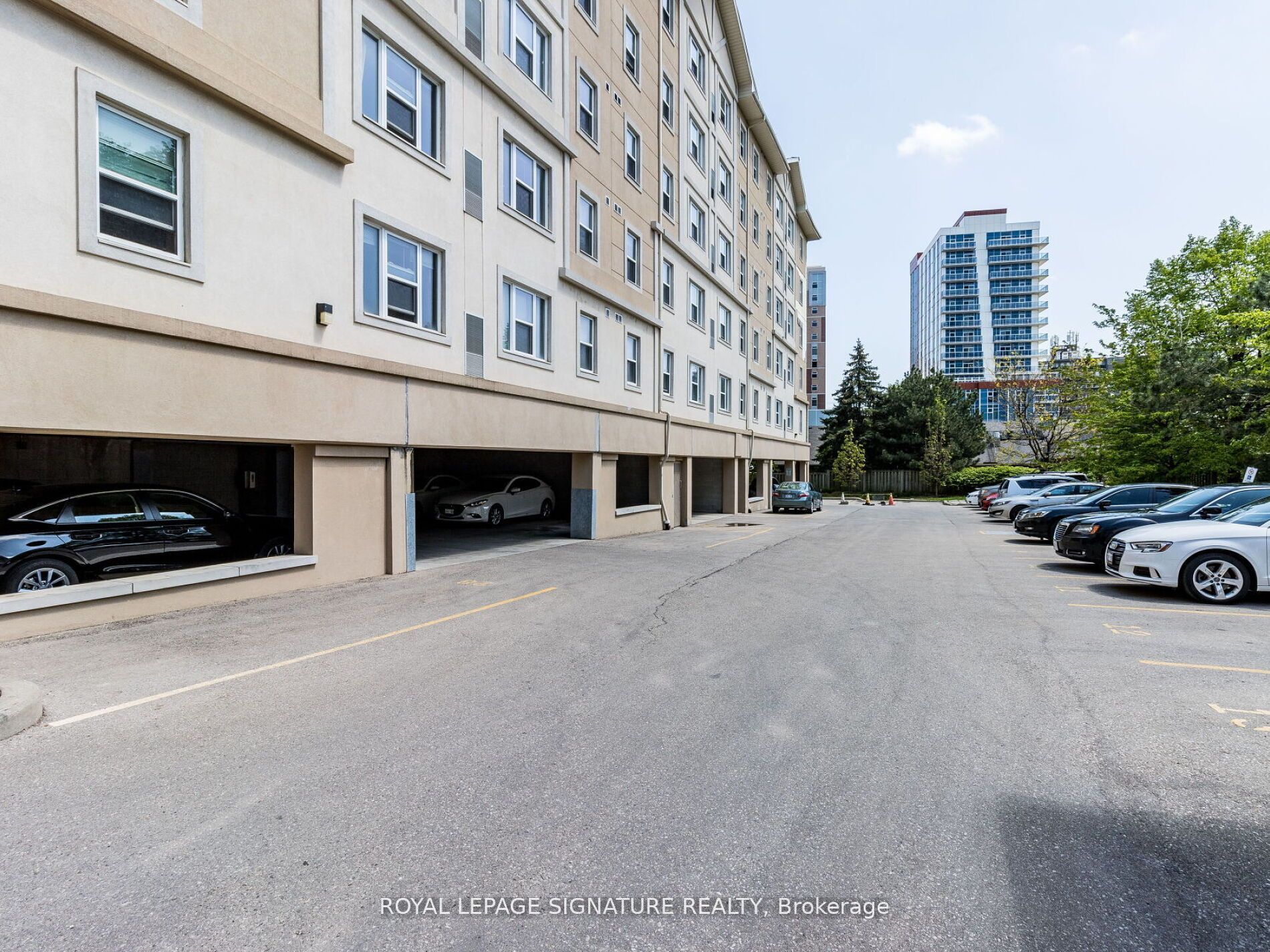 251 Lester Street #206