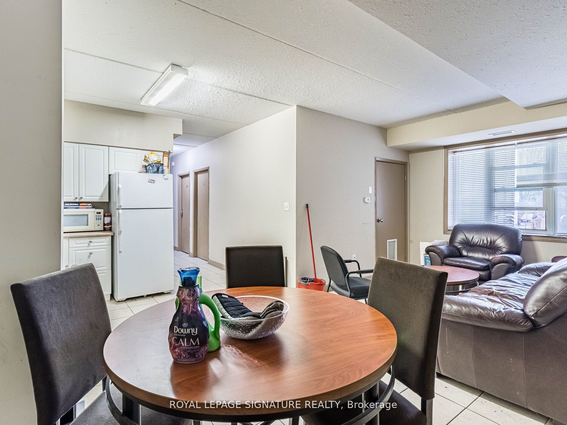 251 Lester Street #206