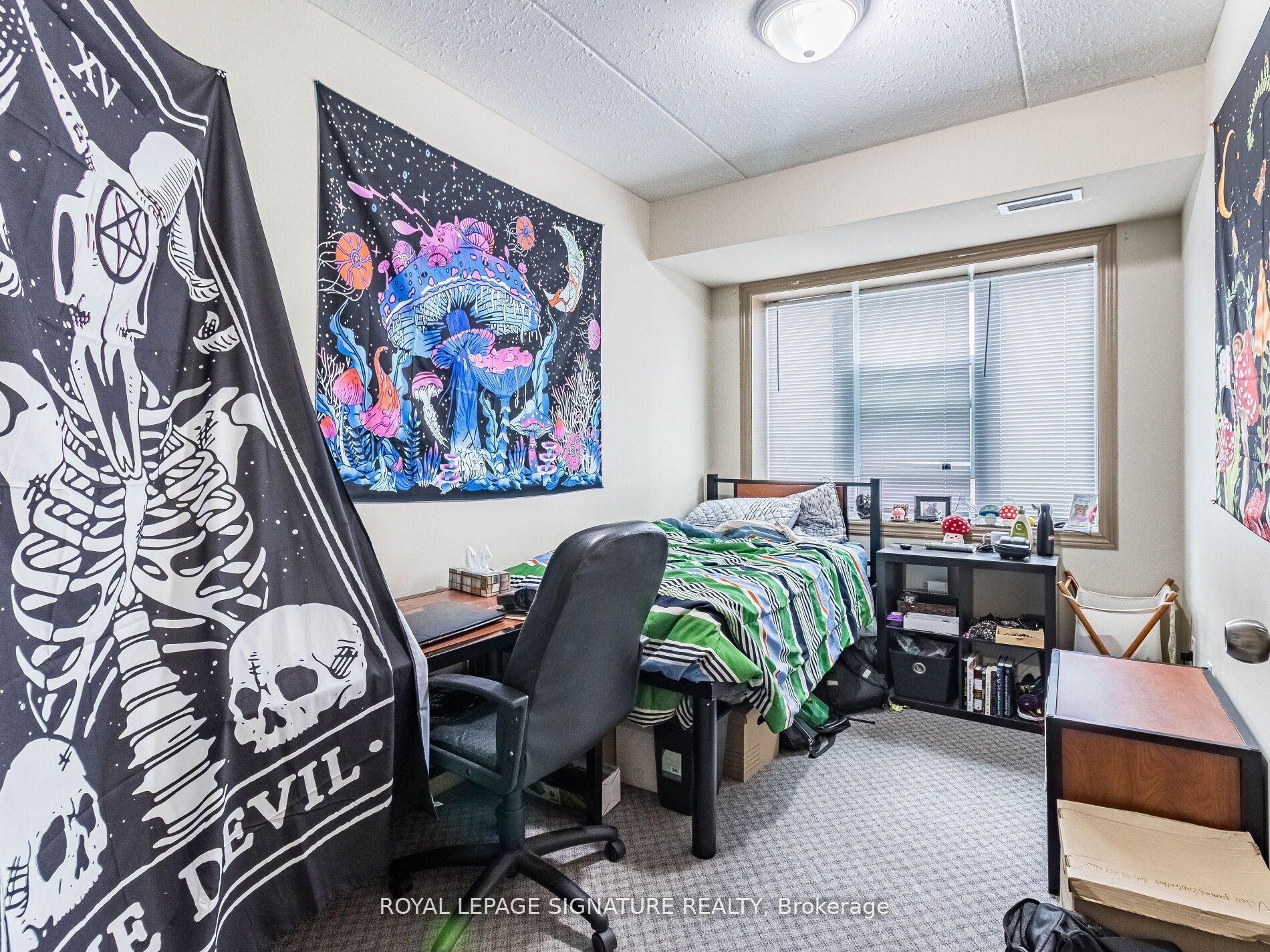251 Lester Street #206