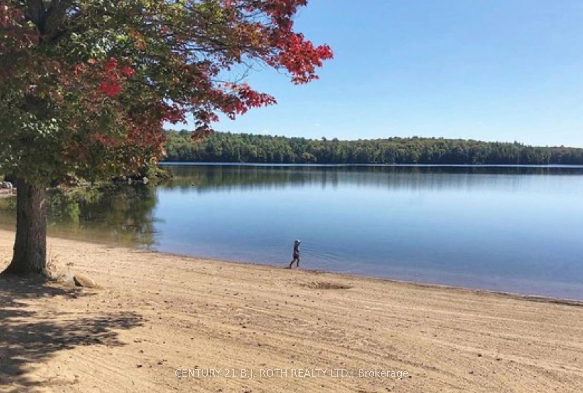 1047 Bonnie Lake Camp Road, #718