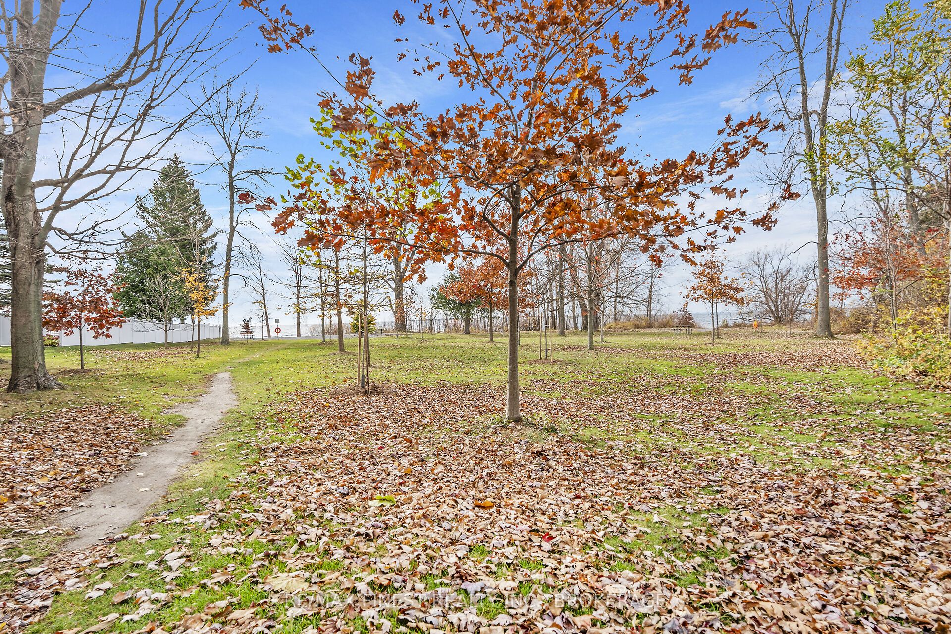 47 Jorene Drive