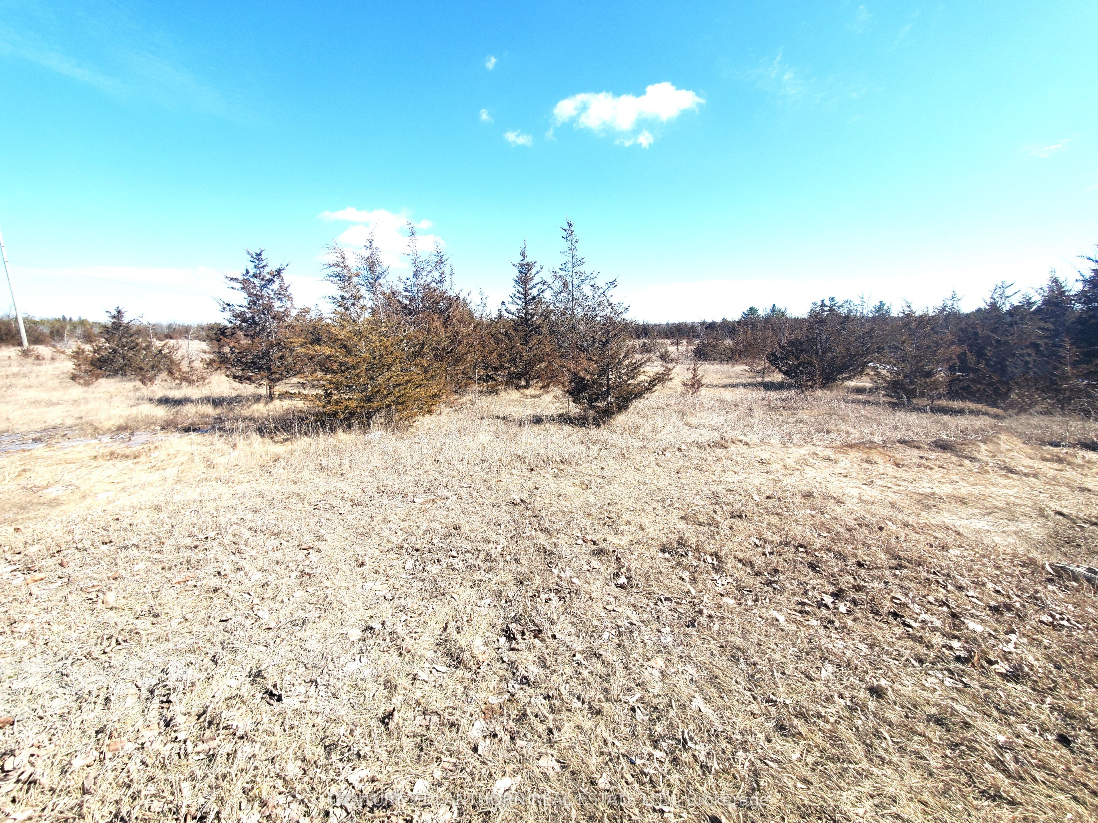 521 Hwy 41