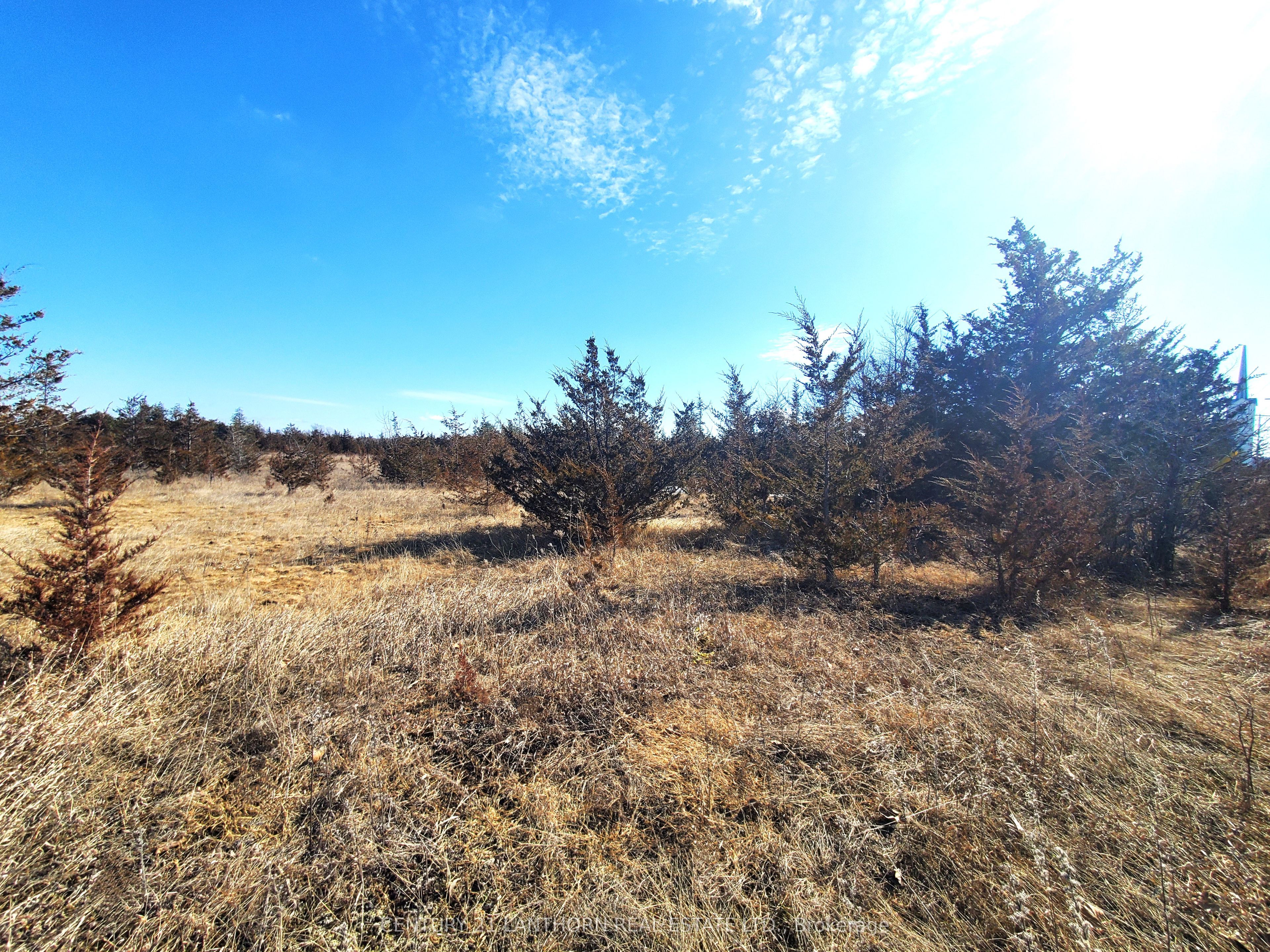 521 Hwy 41