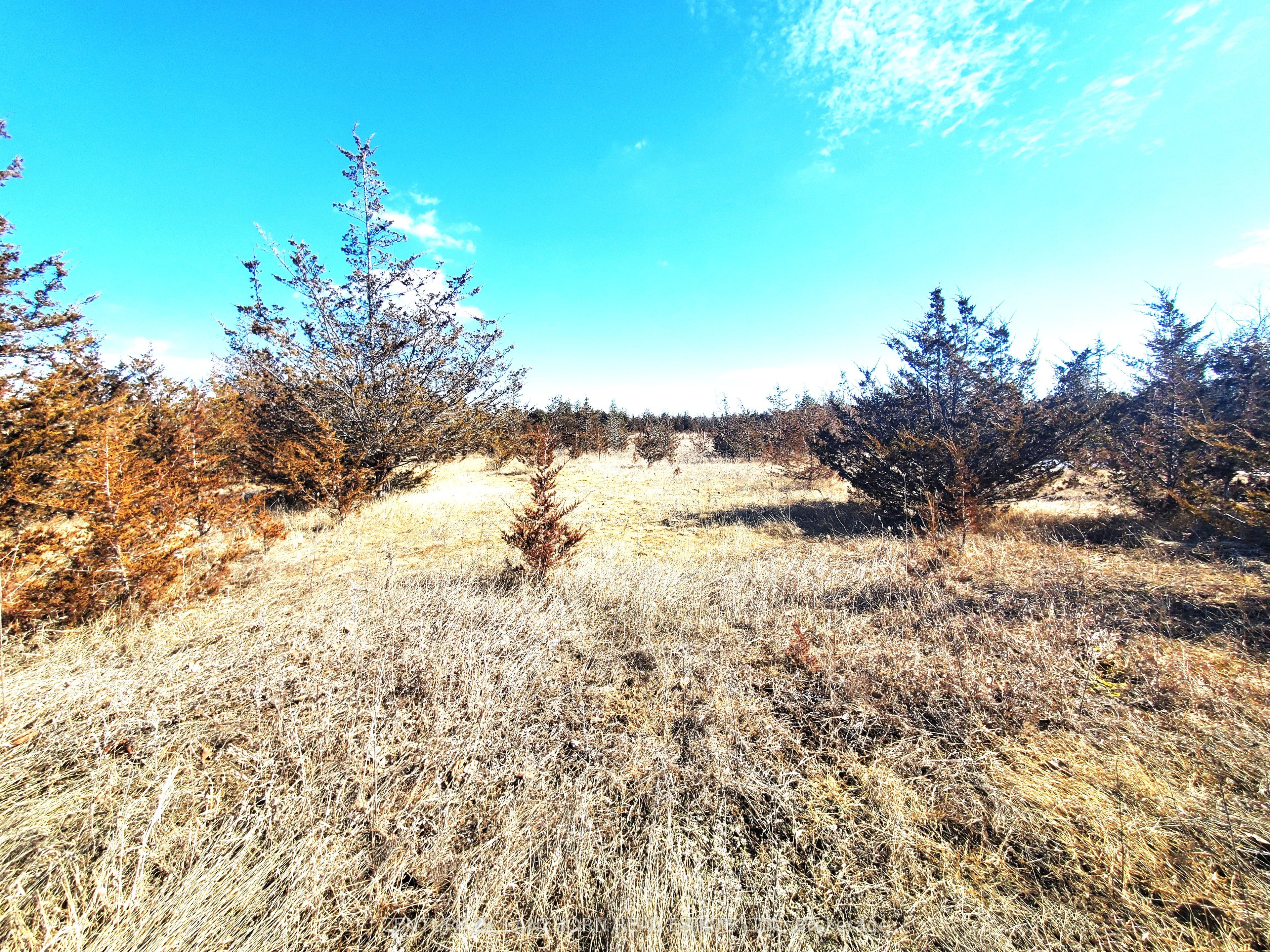 521 Hwy 41