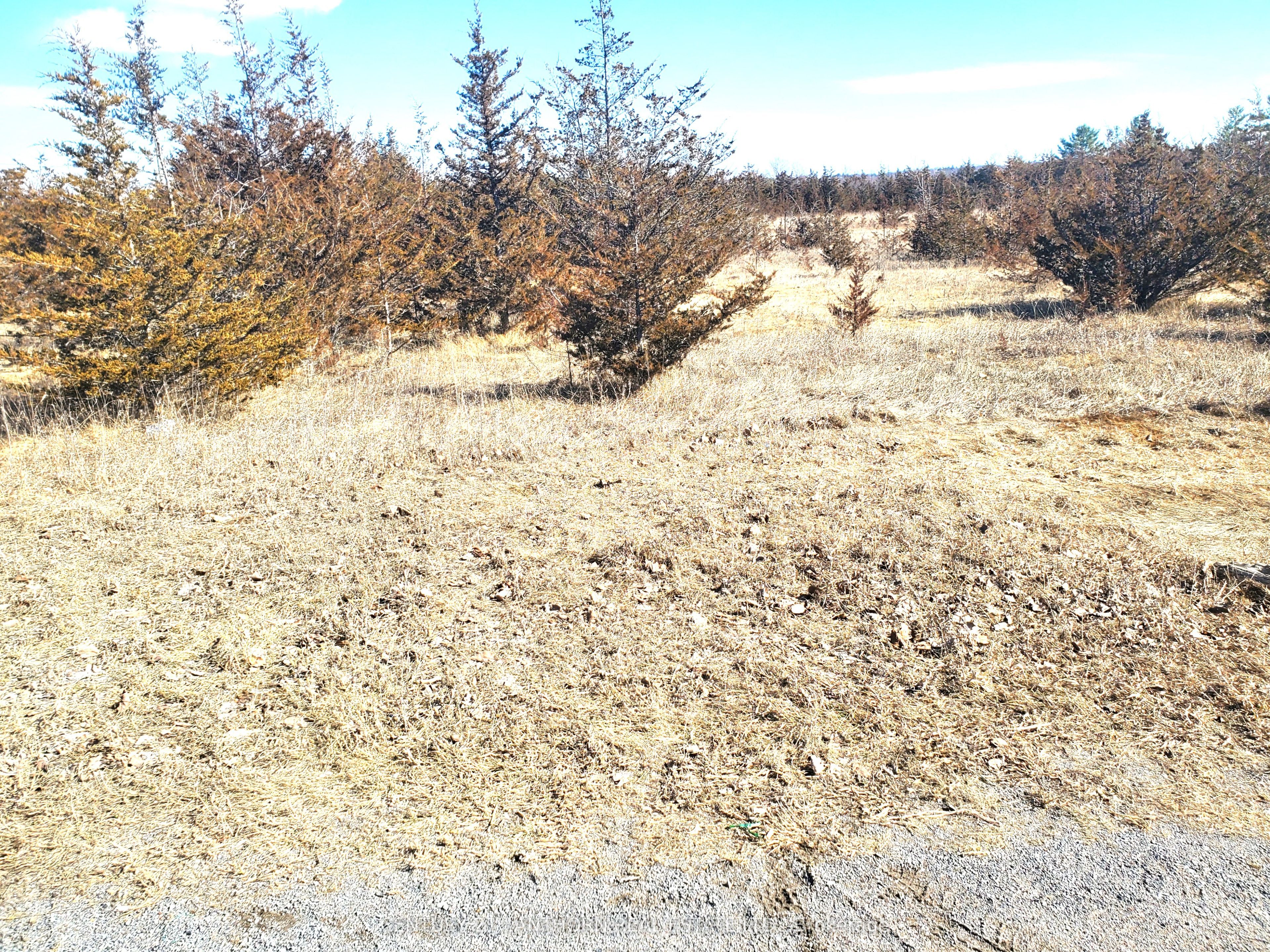 521 Hwy 41
