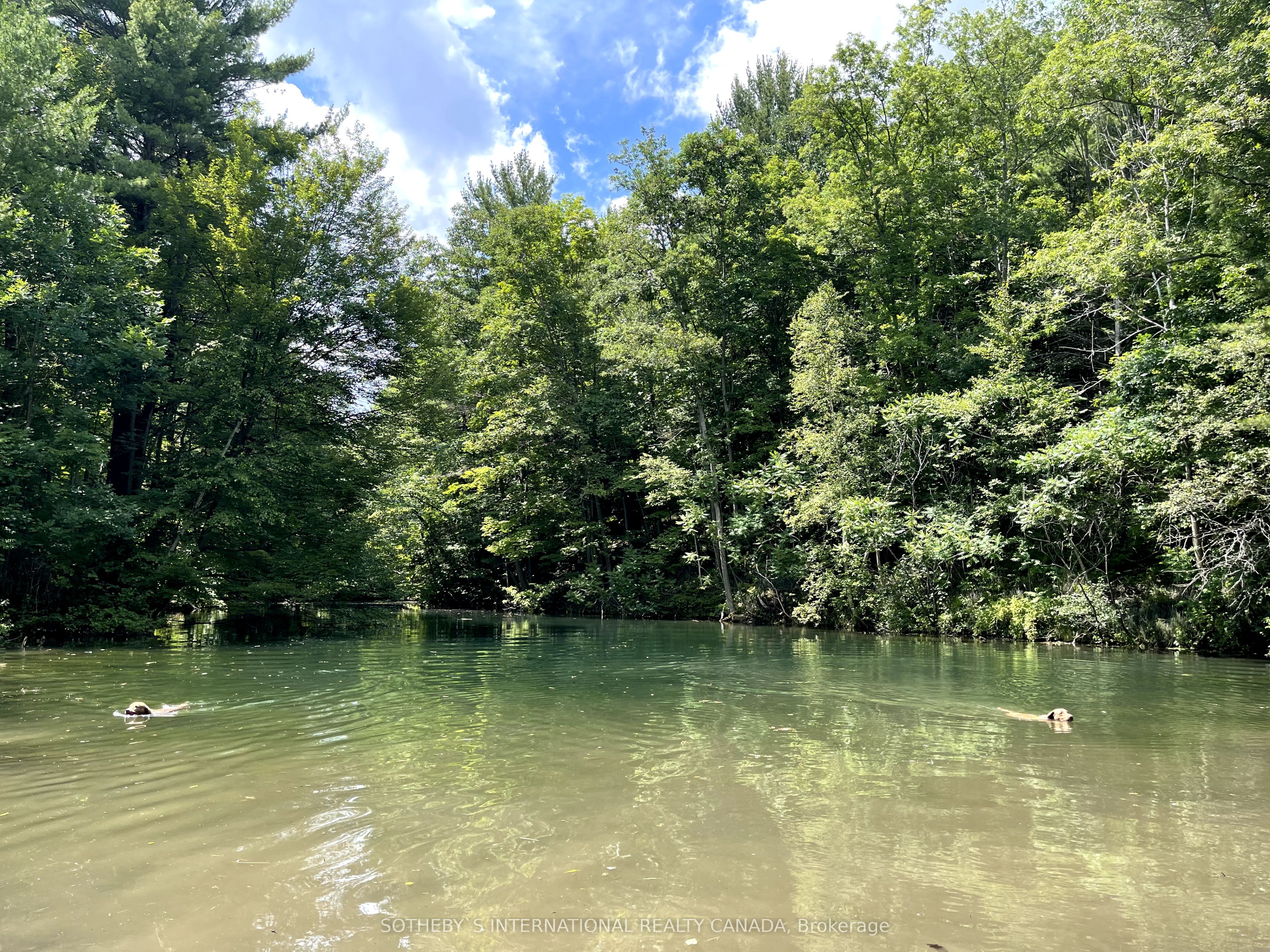 4556 Eagleson Line