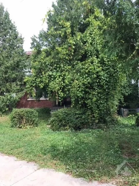 31 HARVARD Avenue