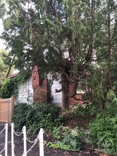 31 HARVARD Avenue