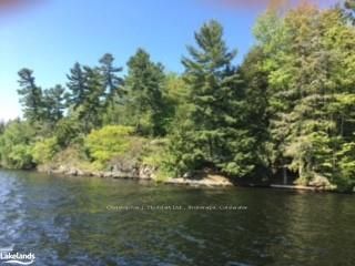 12 ISLAND 270 SIX MILE LAKE