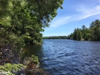 12 ISLAND 270 SIX MILE LAKE