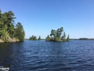 12 ISLAND 270 SIX MILE LAKE