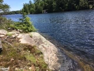 12 ISLAND 270 SIX MILE LAKE