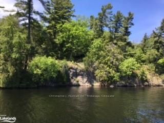 12 ISLAND 270 SIX MILE LAKE