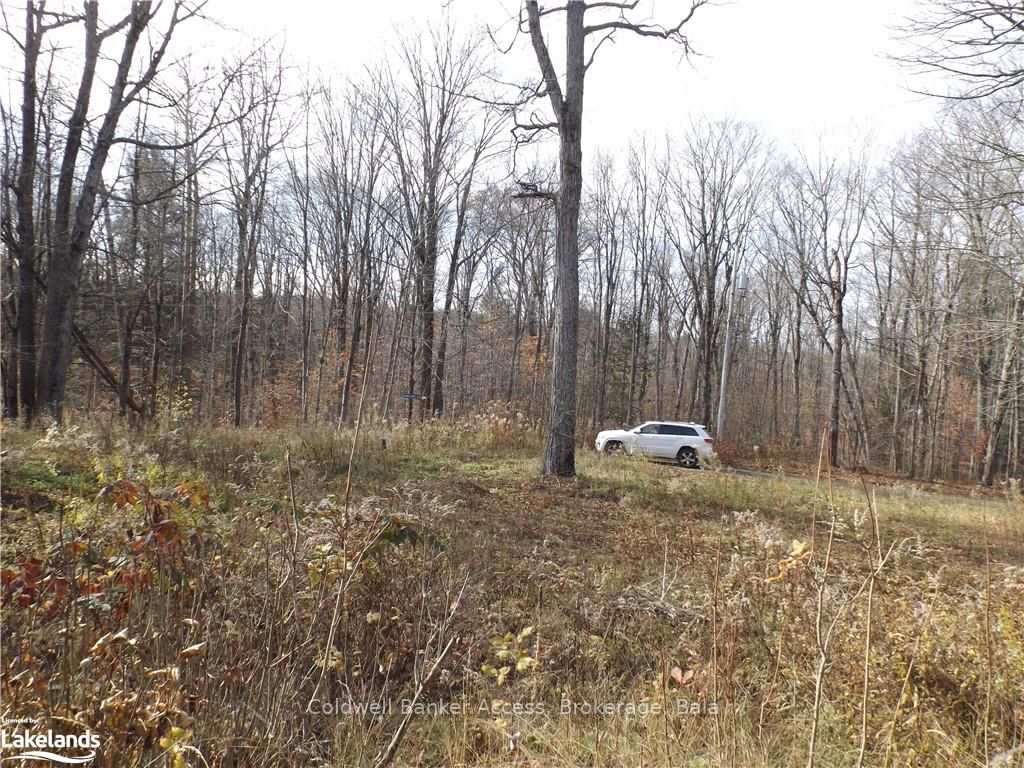 1019 CARL'S Road, #3