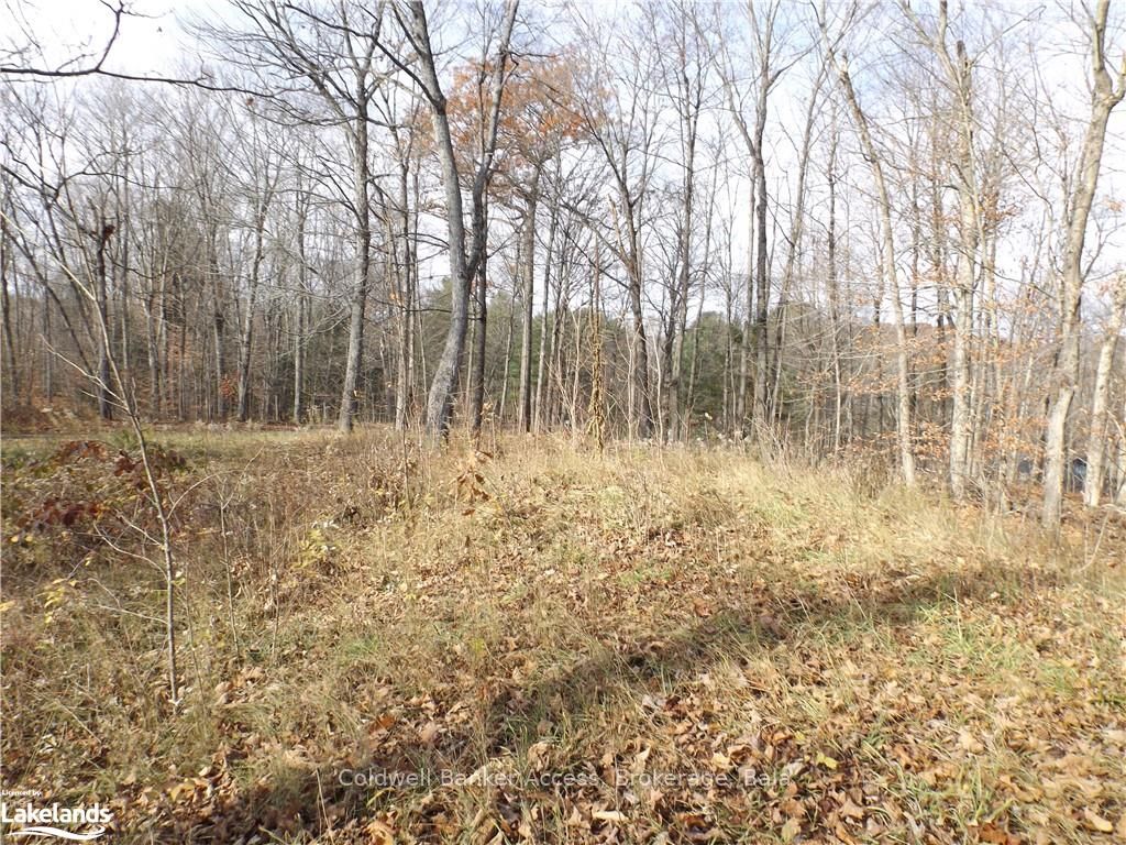 1019 CARL'S Road, #3