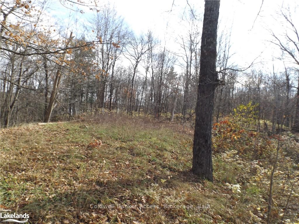 1019 CARL'S Road, #3