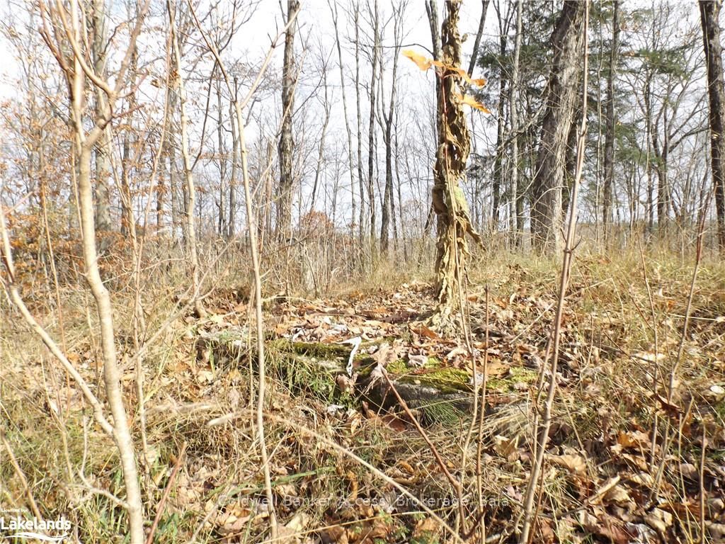 1019 CARL'S Road, #3