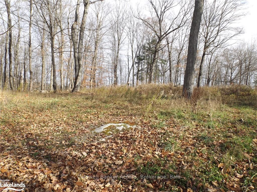 1019 CARL'S Road, #3