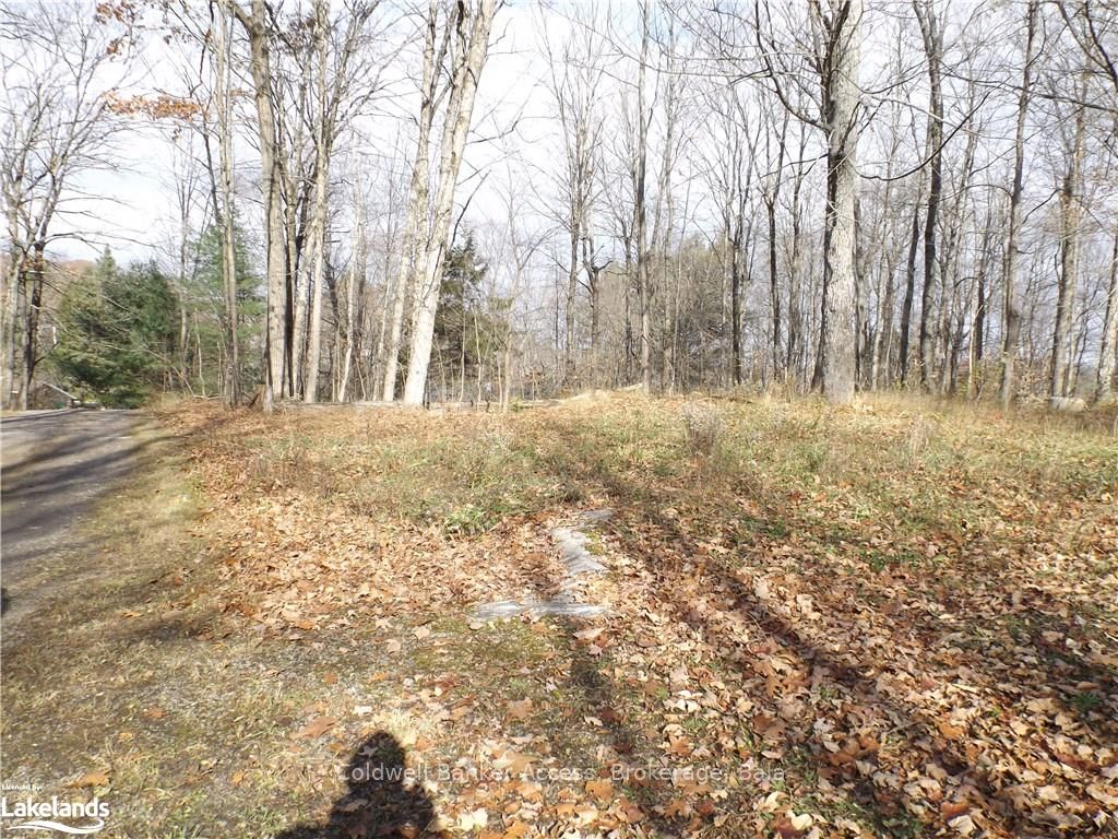 1019 CARL'S Road, #3