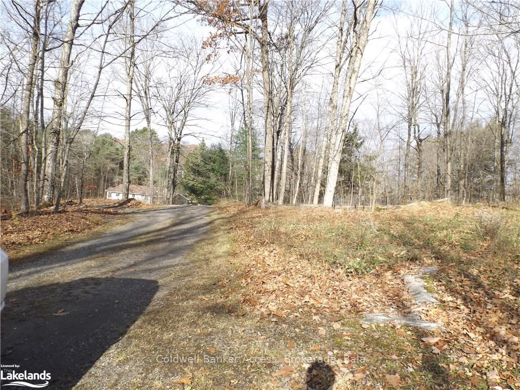 1019 CARL'S Road, #3