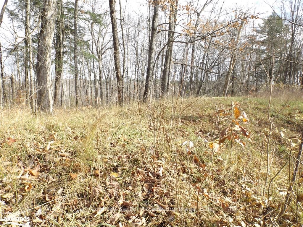 1019 CARL'S Road, #3