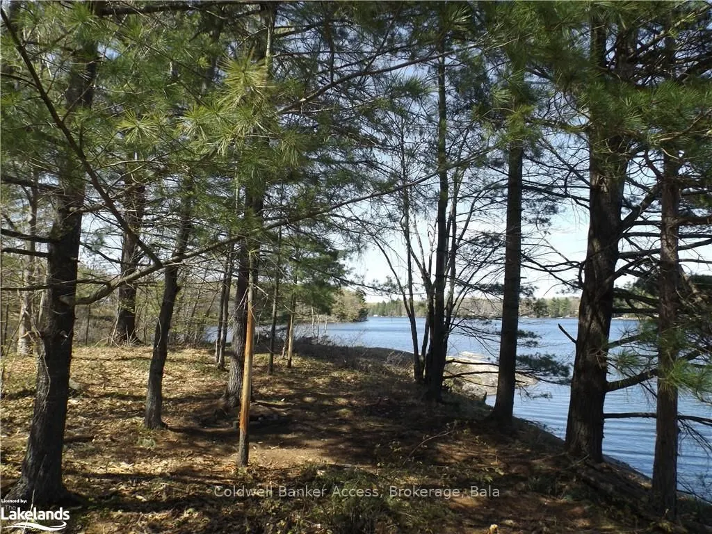 38 HAWKINS POINT Road