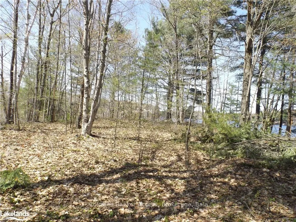 38 HAWKINS POINT Road