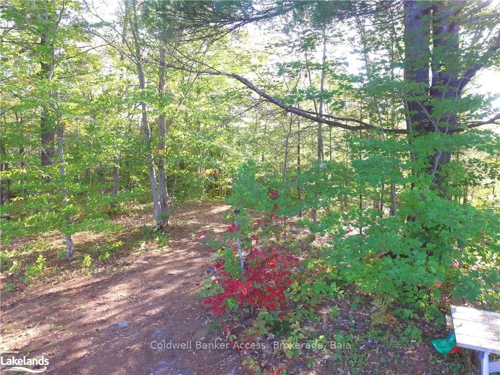 38 HAWKINS POINT Road