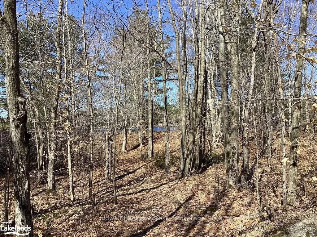 38 HAWKINS POINT Road